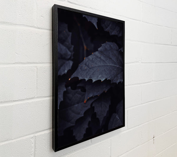 Midnight Leaf Shadows