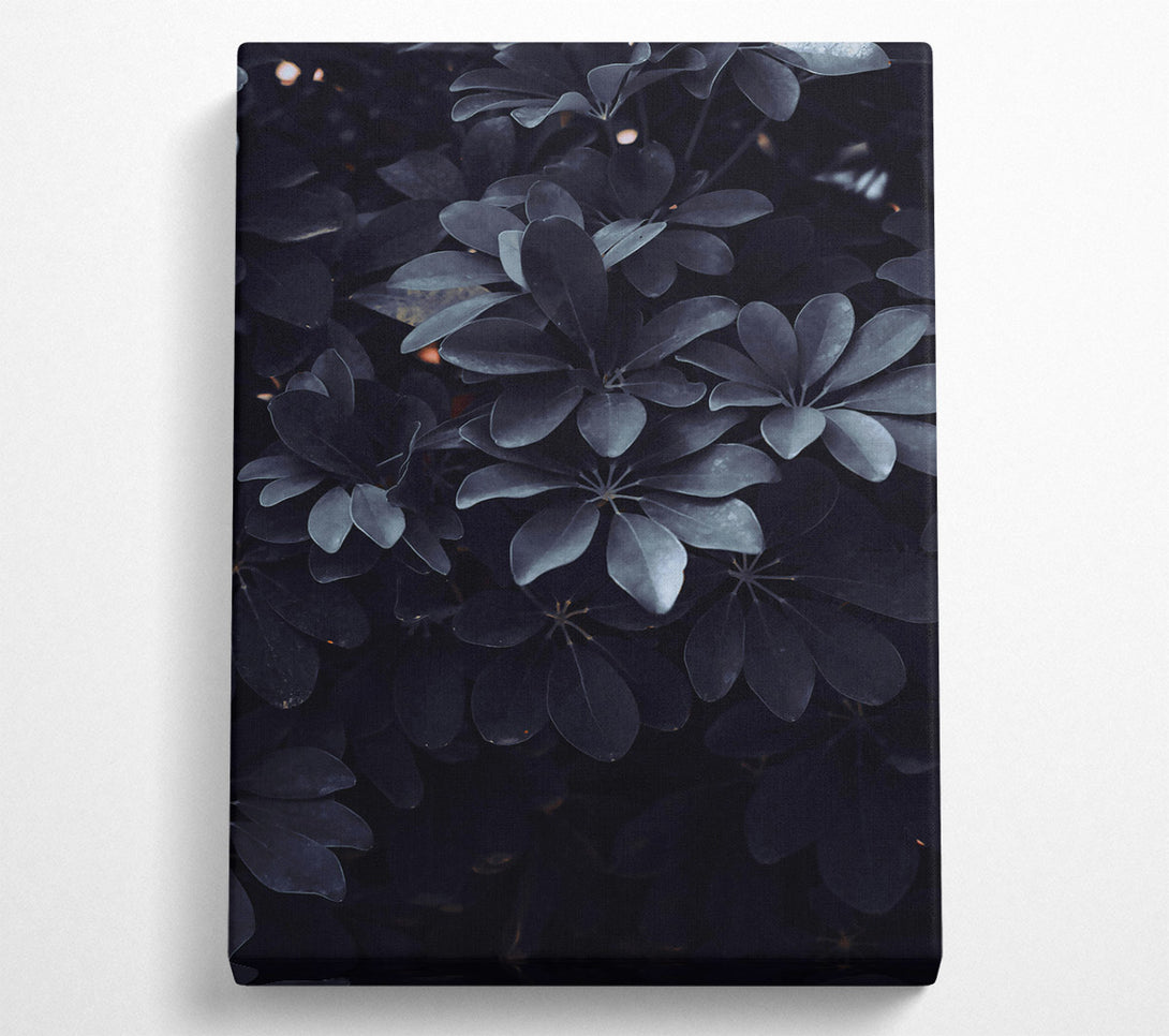  A Canvas Print of Loading... Canvas Print