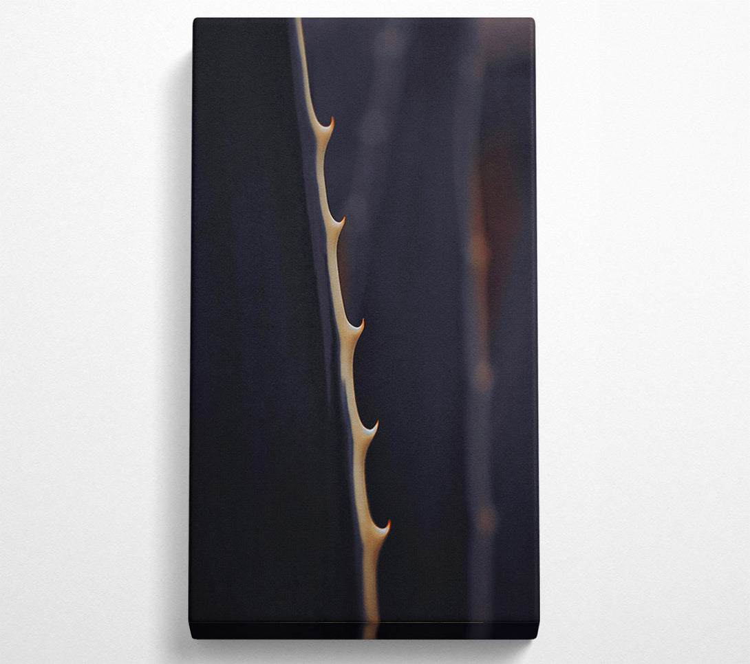  A Canvas Print of Pale Thorns On Blue Canvas Art