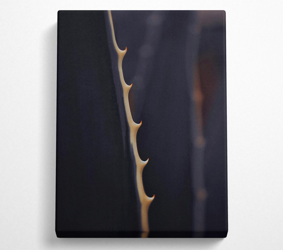  A Canvas Print of Pale Thorns On Blue Canvas Art