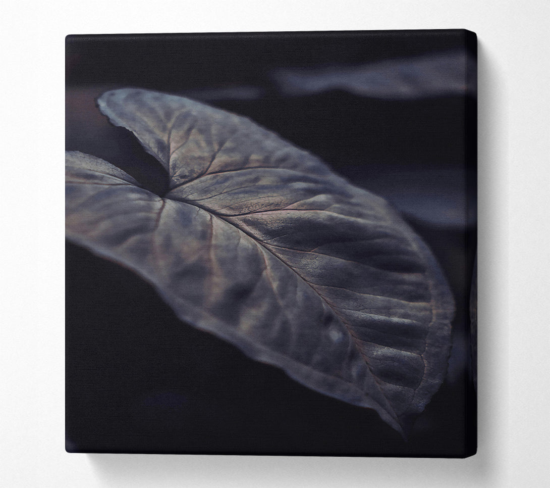  A Canvas Print of The Grey Embrace Canvas Art