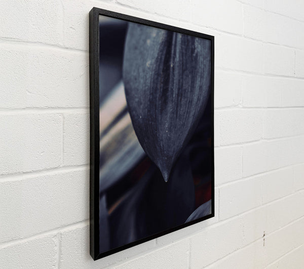 Dark Grey Leaf Drip