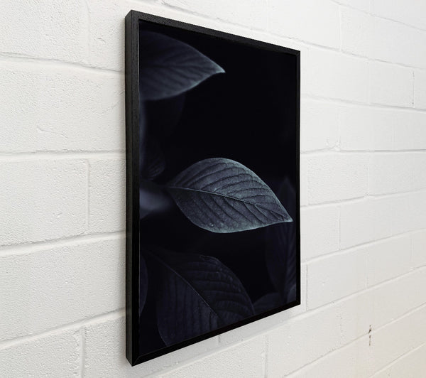 Indigo Leaf Shadow