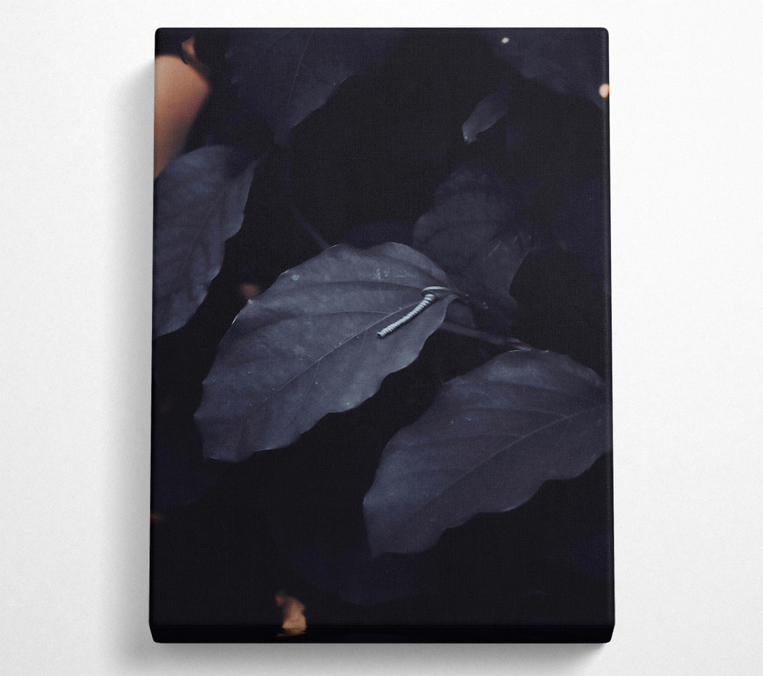  A Canvas Print of Loading... Canvas Print