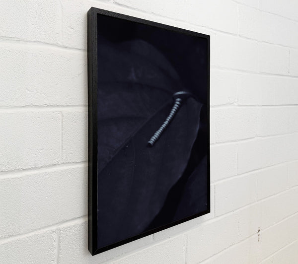 Silver On Black Leaf.