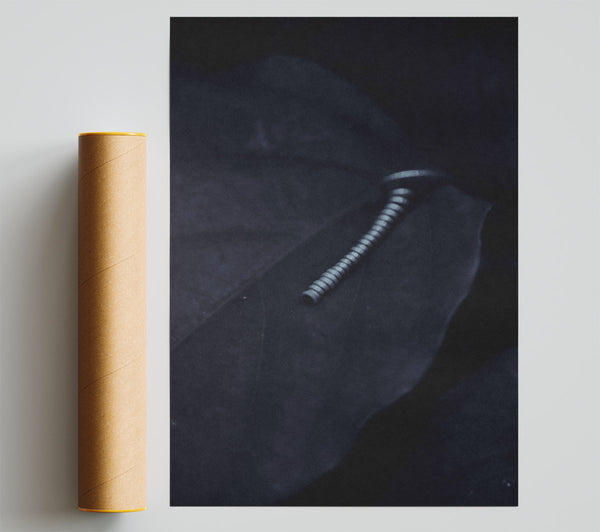 Silver On Black Leaf. Poster