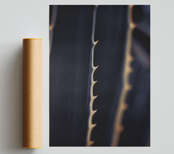 Golden Spines On Black Print