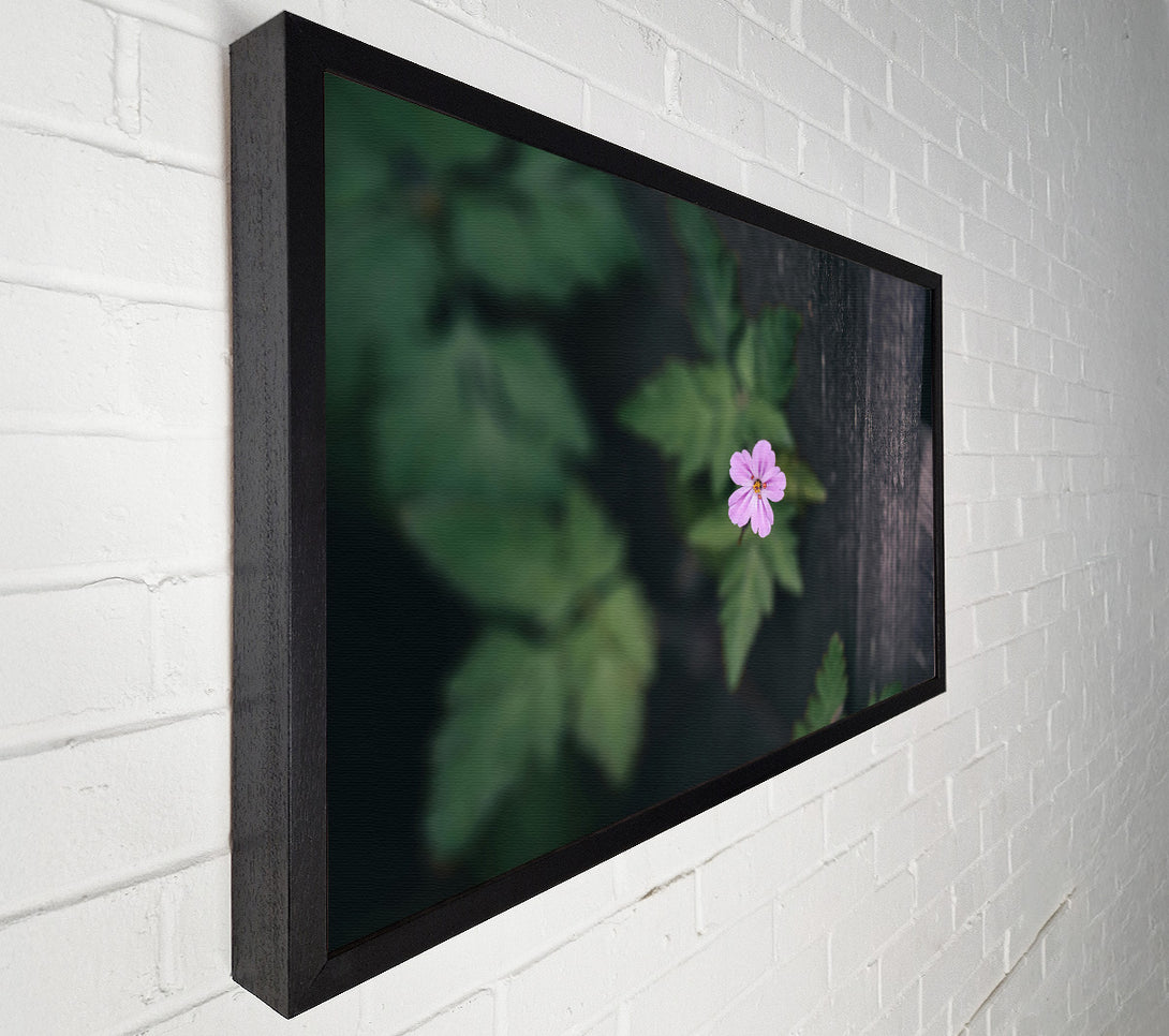  A Canvas Print of Pink Flower Fence Canvas Print