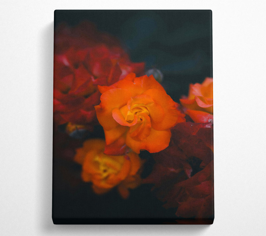  A Canvas Print of Orange Blossom Bloom Canvas Art