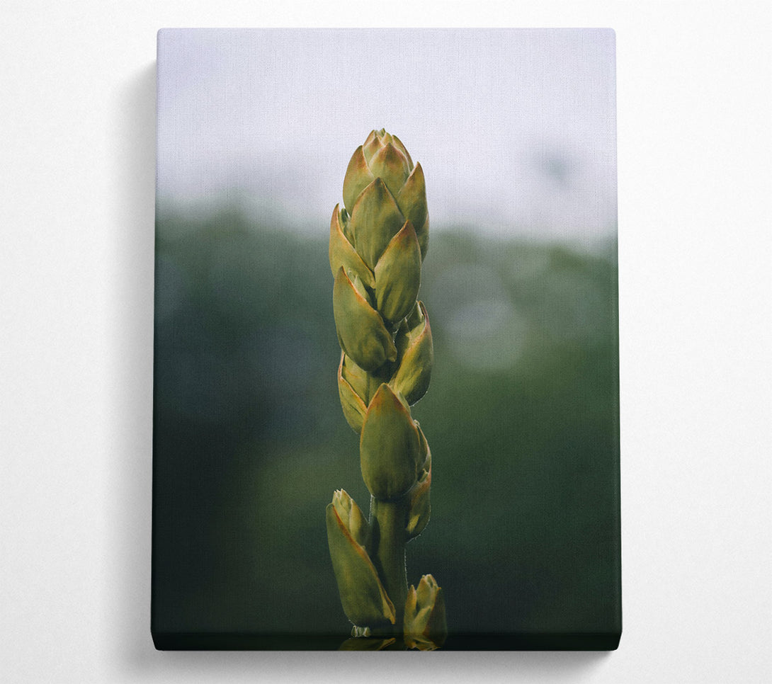  A Canvas Print of Green Budding Bloom Canvas Art