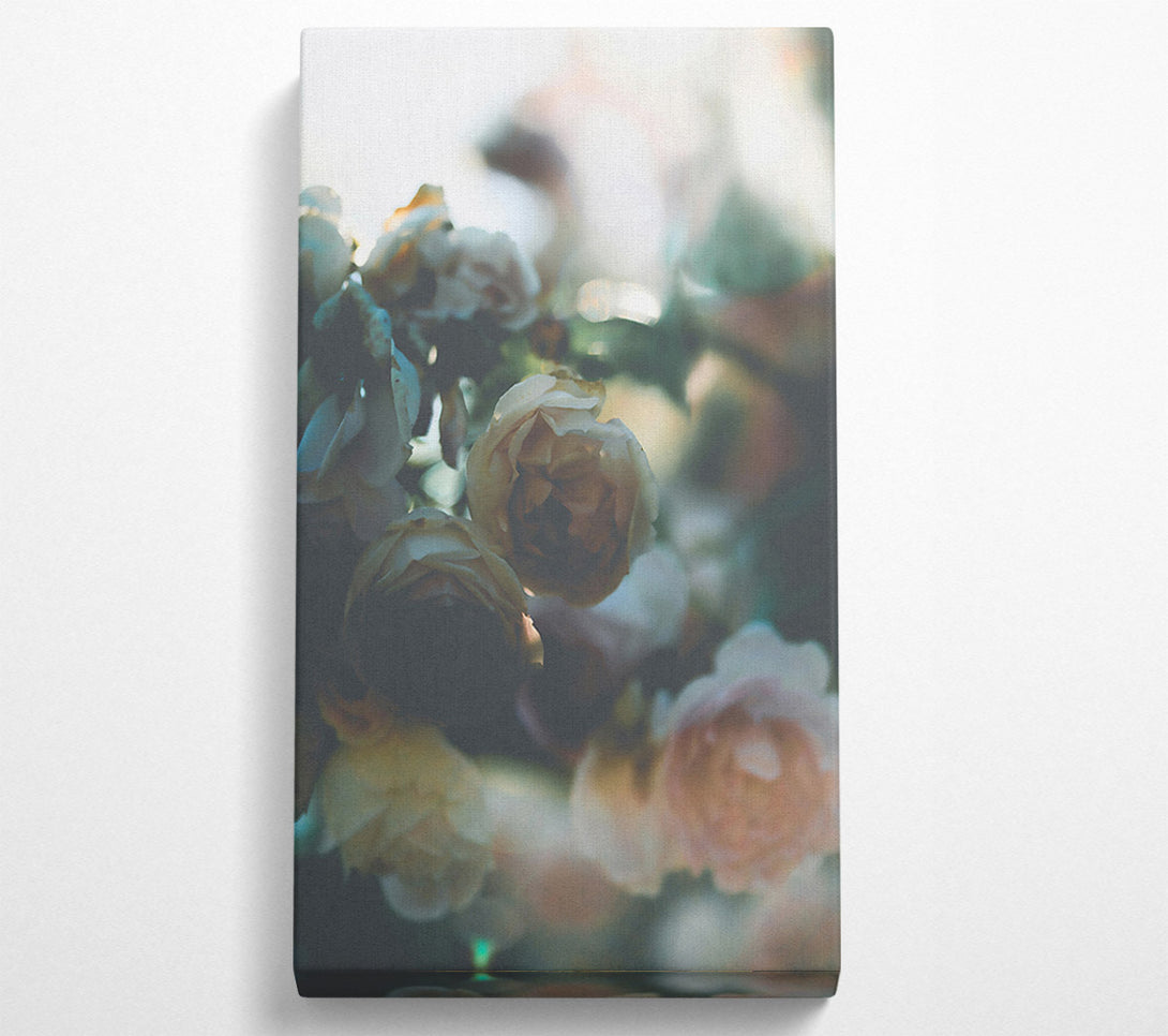 A Canvas Print of Pale Green Rosebuds Canvas Wall Art