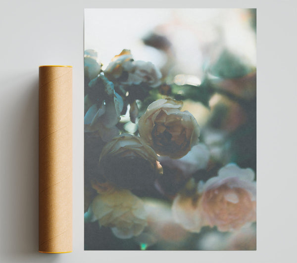Pale Green Rosebuds Giclee Print