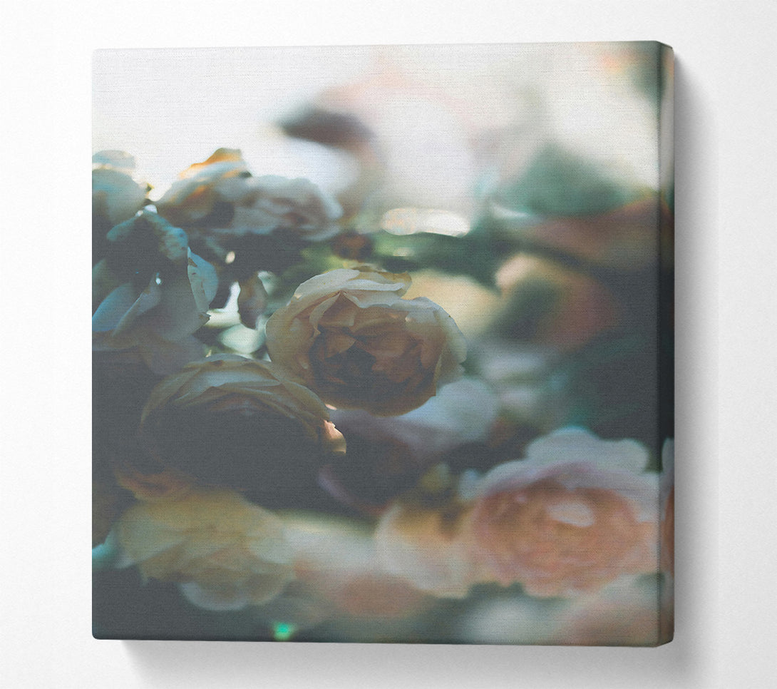  A Canvas Print of Pale Green Rosebuds Canvas Wall Art