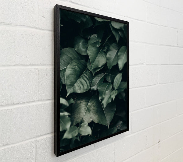 Emerald Jungle Leaves