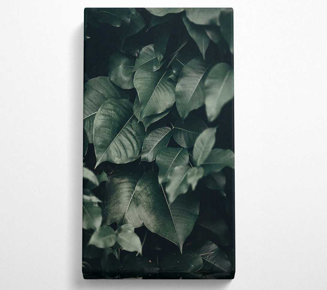  A Canvas Print of Emerald Jungle Leaves Canvas Print
