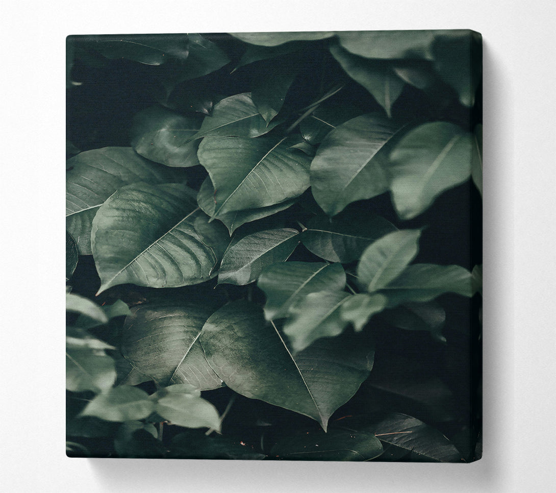  A Canvas Print of Emerald Jungle Leaves Canvas Print