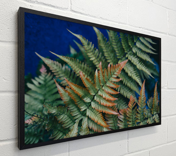 Emerald & Rust Ferns