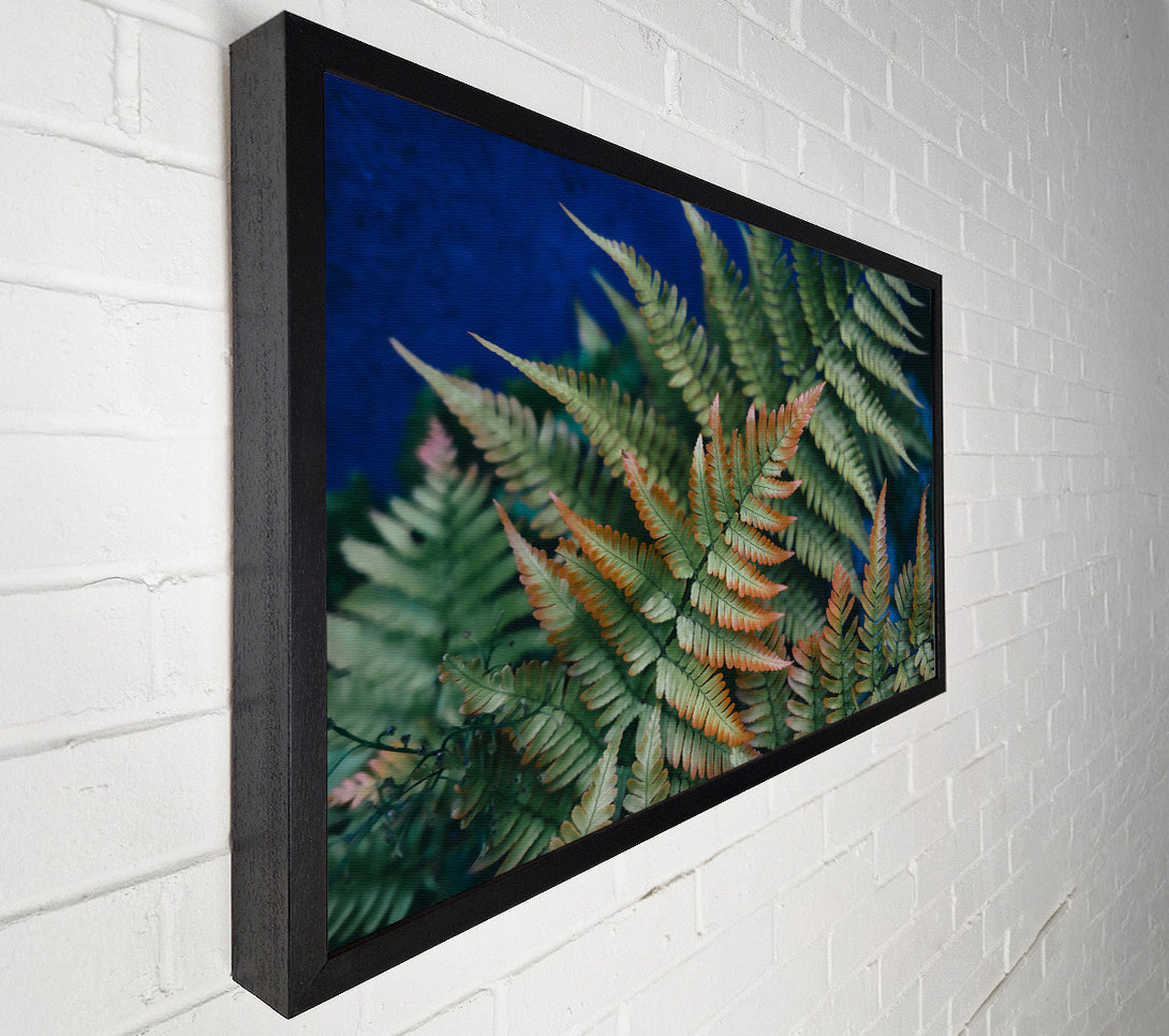  A Canvas Print of Emerald & Rust Ferns Canvas Art