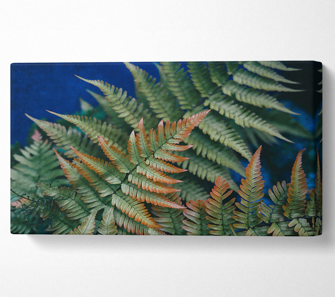 A Canvas Print of Emerald & Rust Ferns Canvas Art