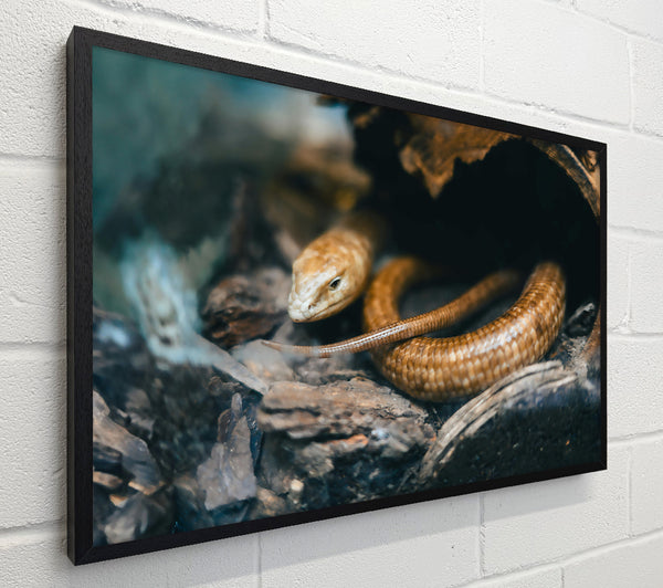 Golden Reptile Hiding