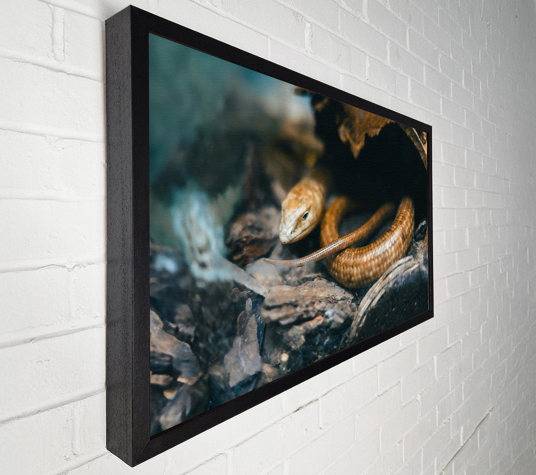  A Canvas Print of Golden Reptile Hiding Canvas Wall Art