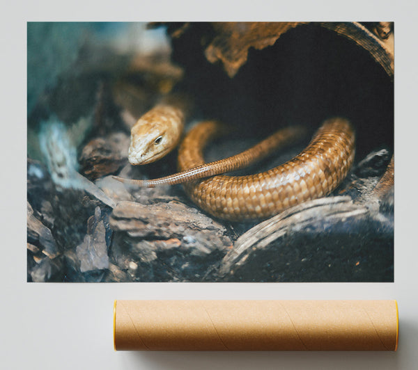 Golden Reptile Hiding Print