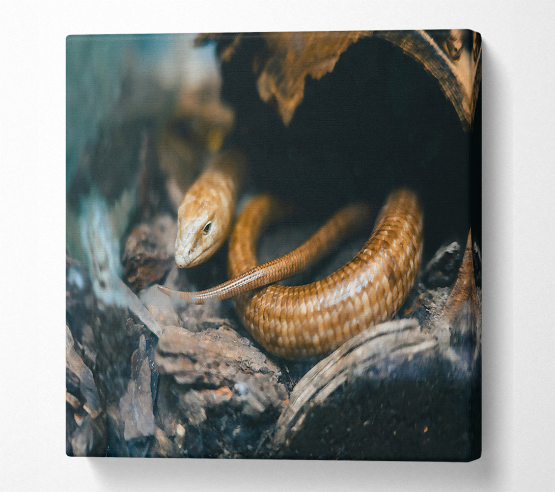  A Canvas Print of Golden Reptile Hiding Canvas Wall Art