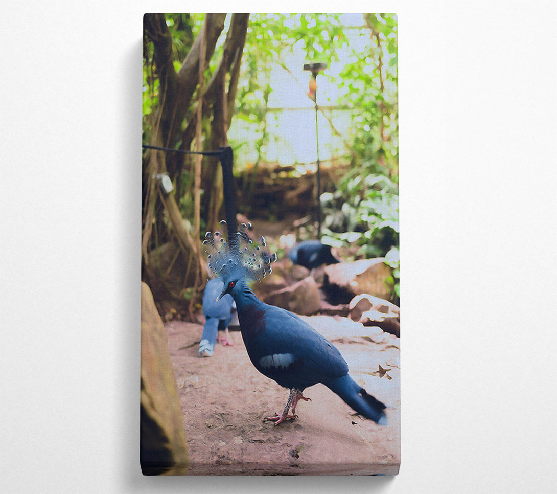 A Canvas Print of Azure Feathered Majesty Canvas Print