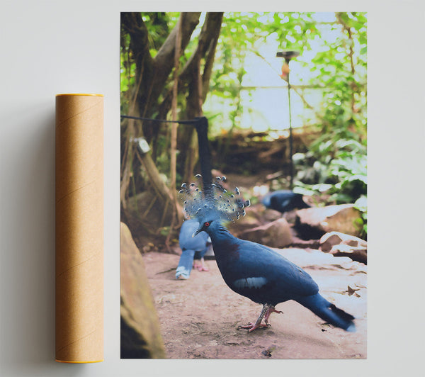 Azure Feathered Majesty Poster