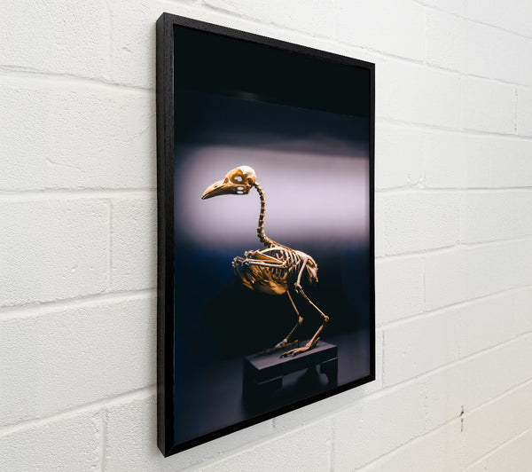 Golden Bird Skeleton