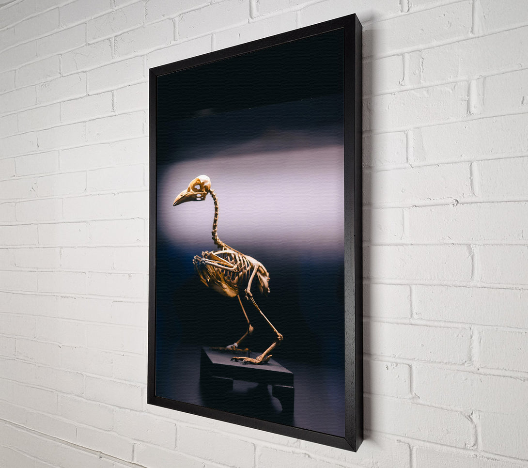  A Canvas Print of Golden Bird Skeleton Canvas Art