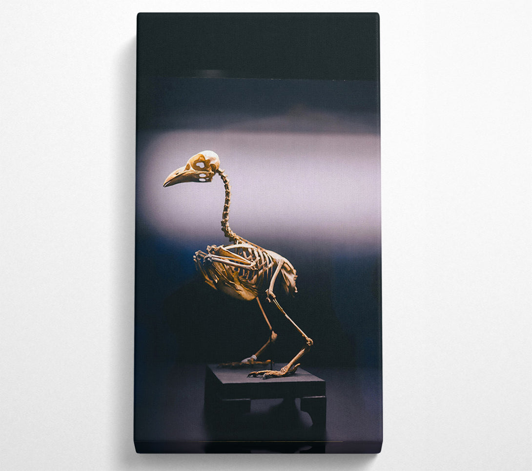  A Canvas Print of Golden Bird Skeleton Canvas Art