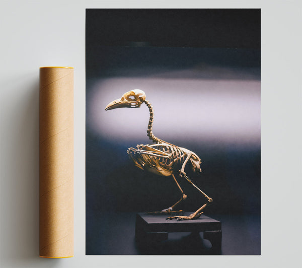 Golden Bird Skeleton Print
