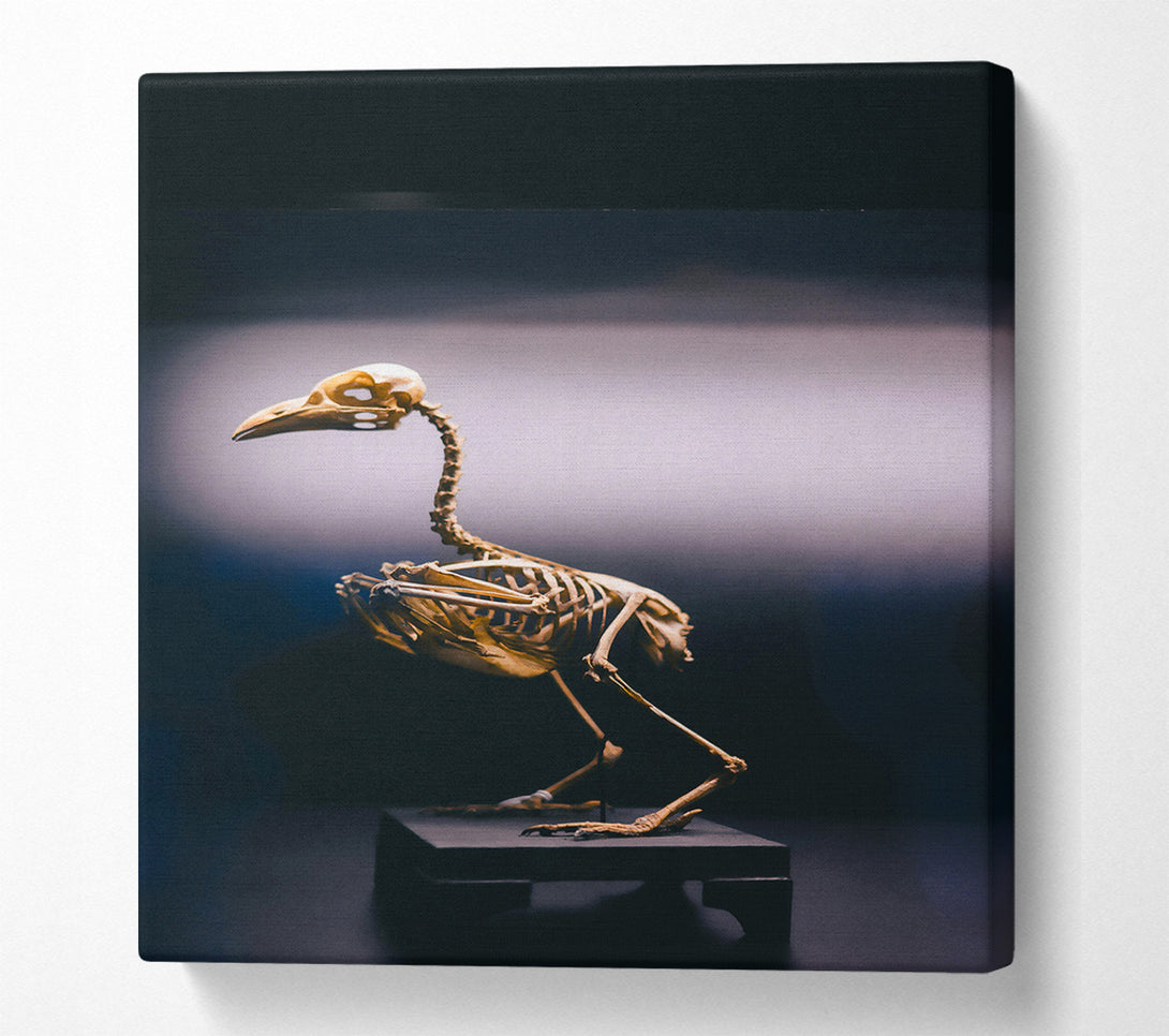  A Canvas Print of Golden Bird Skeleton Canvas Art