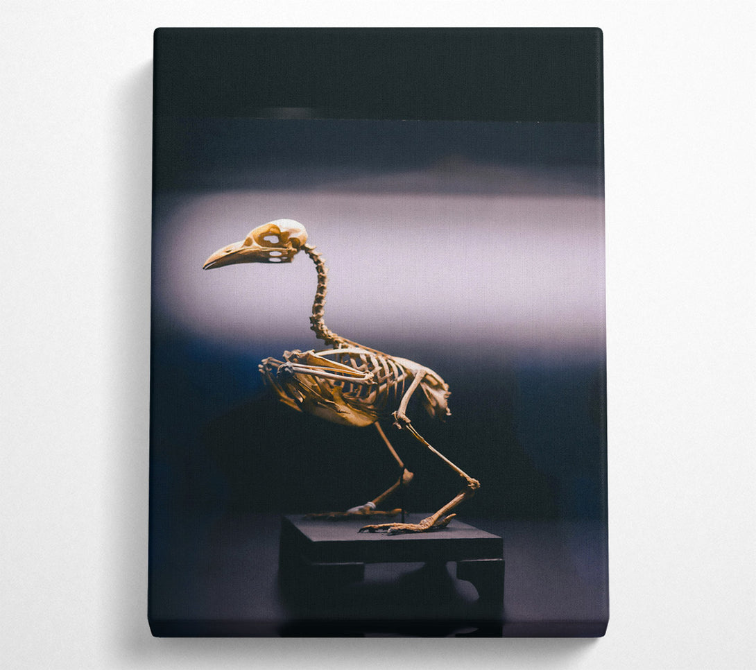  A Canvas Print of Golden Bird Skeleton Canvas Art