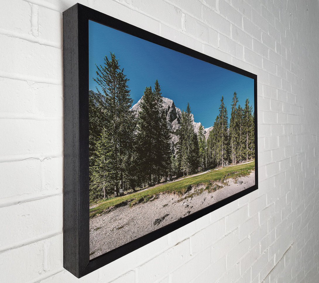  A Canvas Print of Green Pines And White Peaks Canvas Art