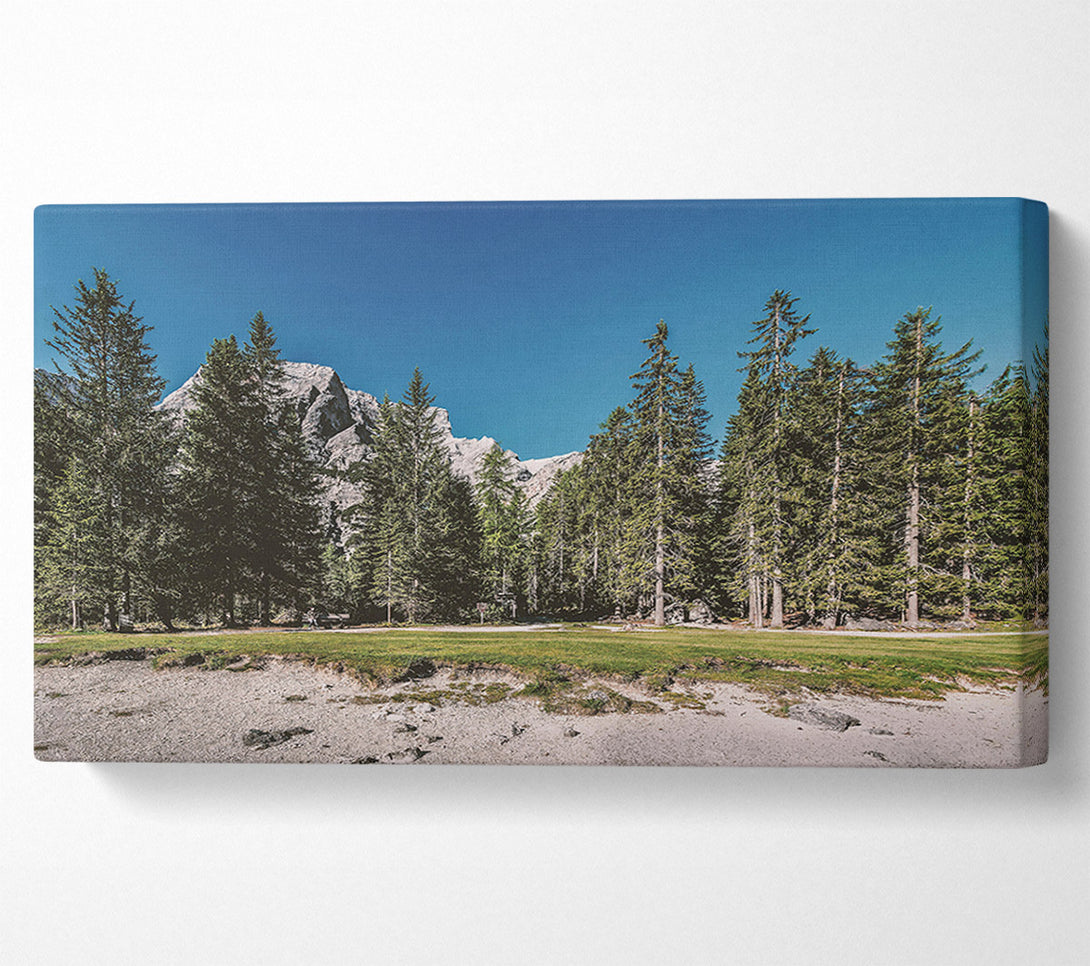  A Canvas Print of Green Pines And White Peaks Canvas Art