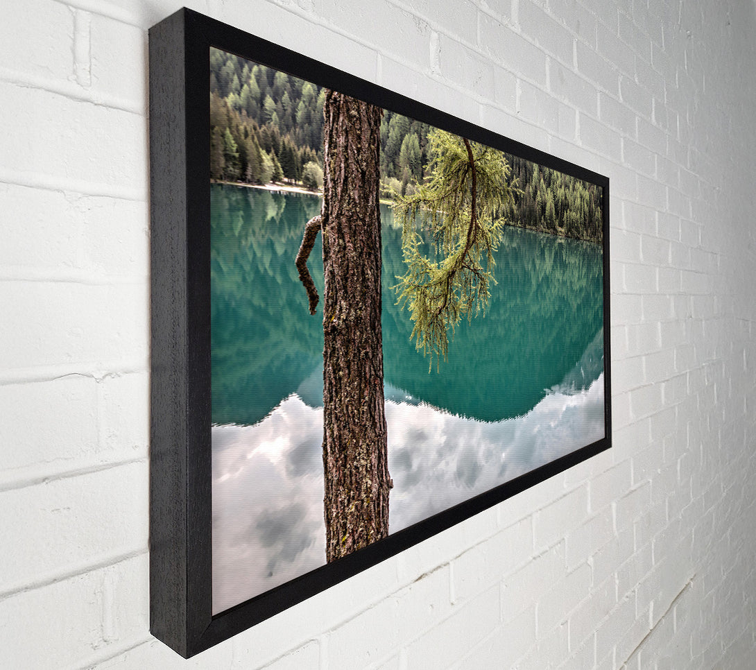  A Canvas Print of Teal Tree Reflection Canvas Print