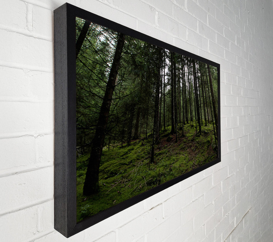  A Canvas Print of Emerald Forest Gloom Canvas Wall Art