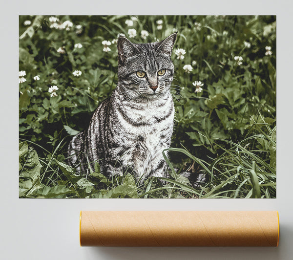 Gray Cat In Bloom Giclee Print