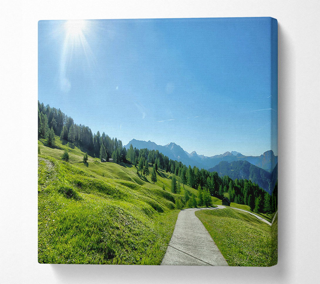  A Canvas Print of Green Mountain Path Canvas Art
