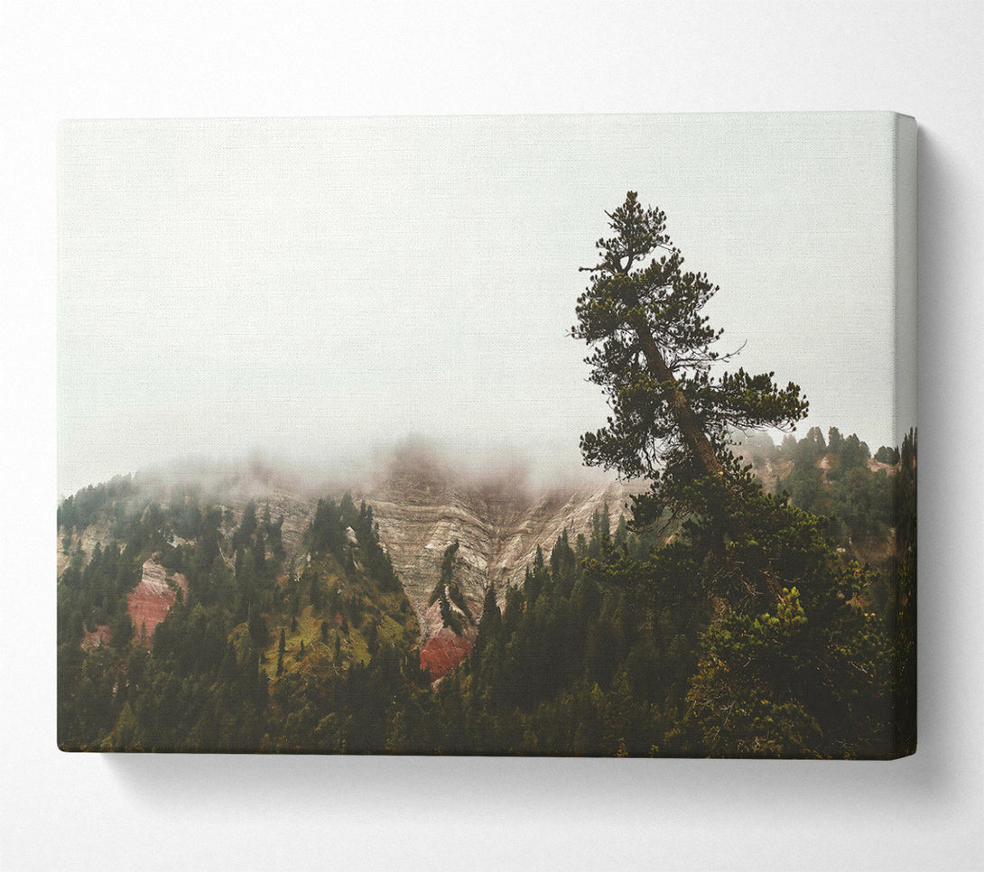 A Canvas Print of Green Foggy Mountainside Canvas Wall Art