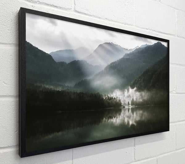 Forest Mist Reflections