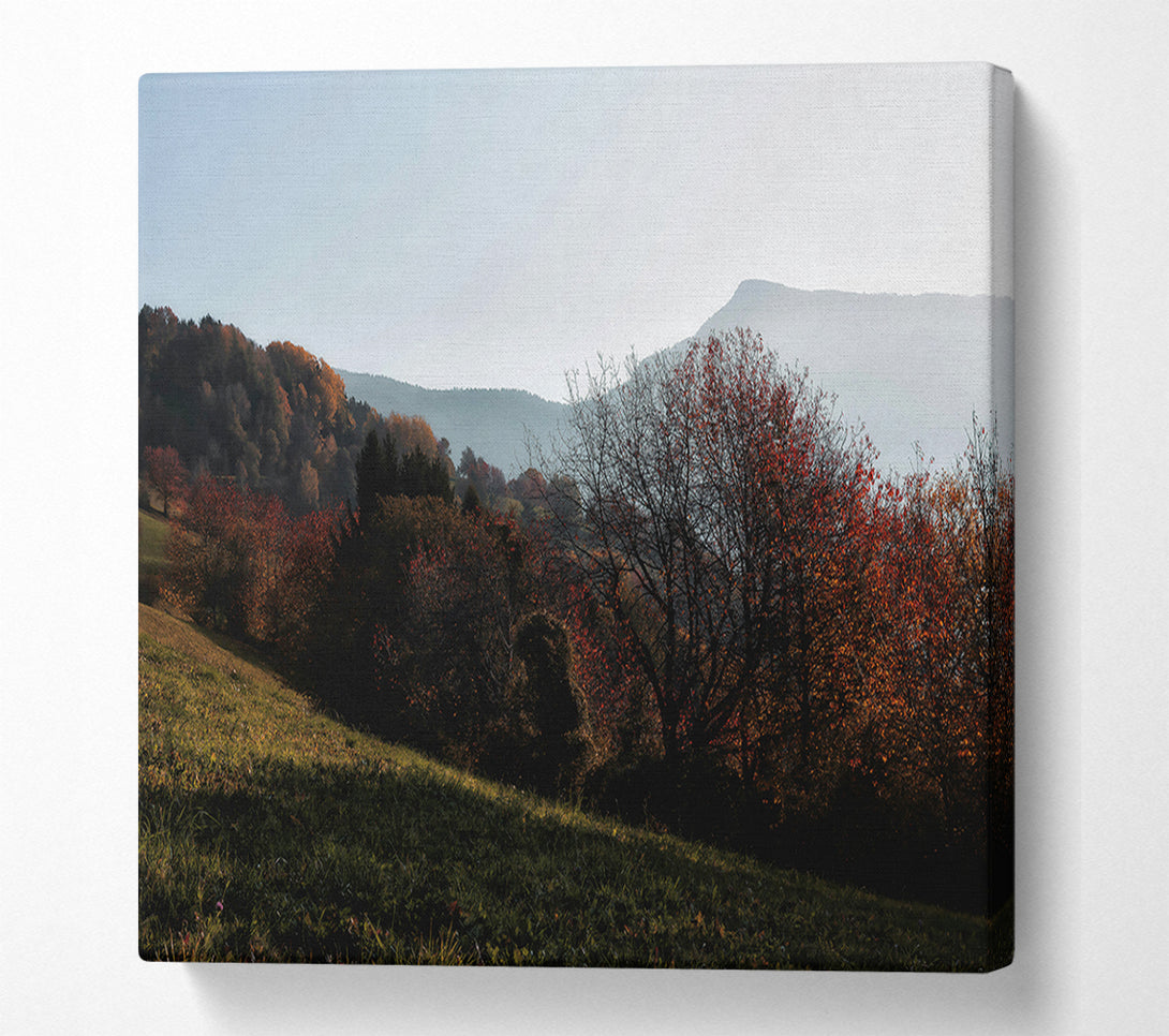  A Canvas Print of Crimson Autumn Hills Canvas Print