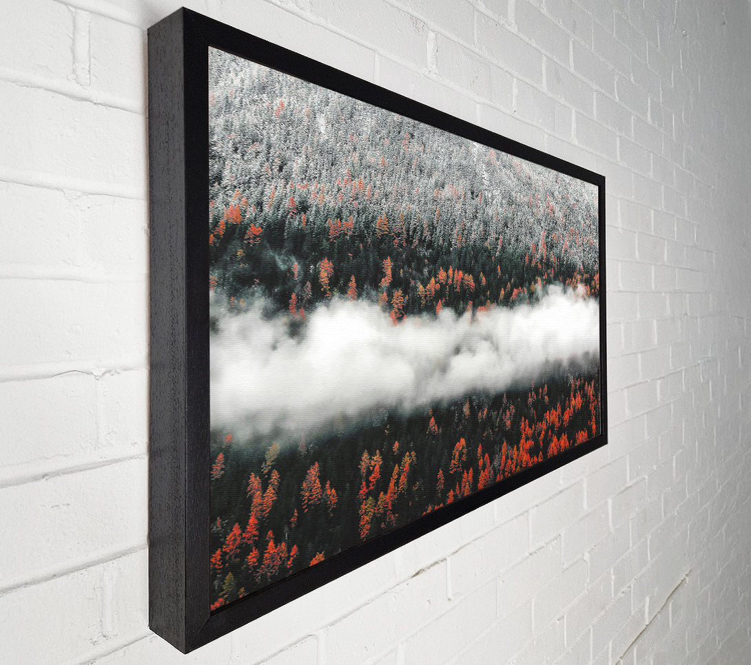  A Canvas Print of Orange Forest Fog Canvas Art