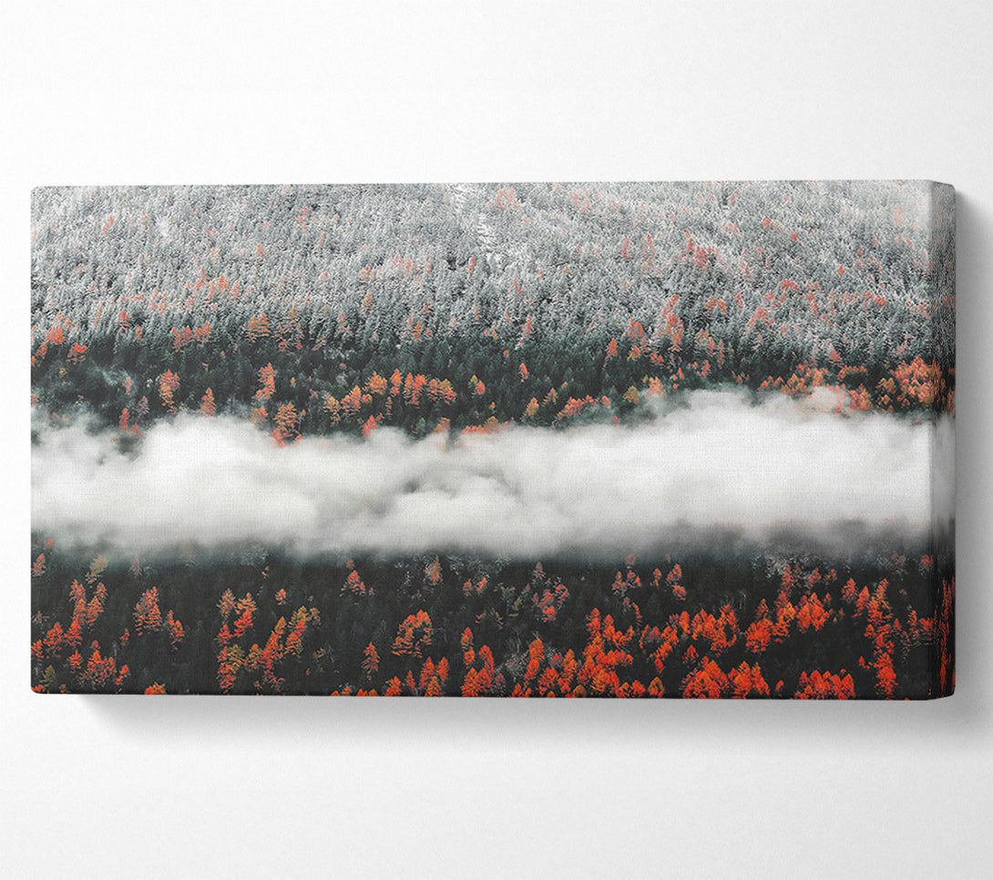  A Canvas Print of Orange Forest Fog Canvas Art