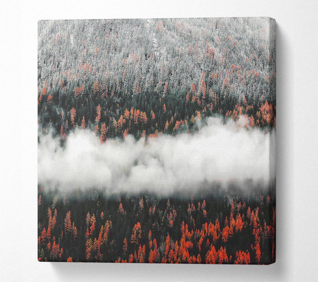  A Canvas Print of Orange Forest Fog Canvas Art