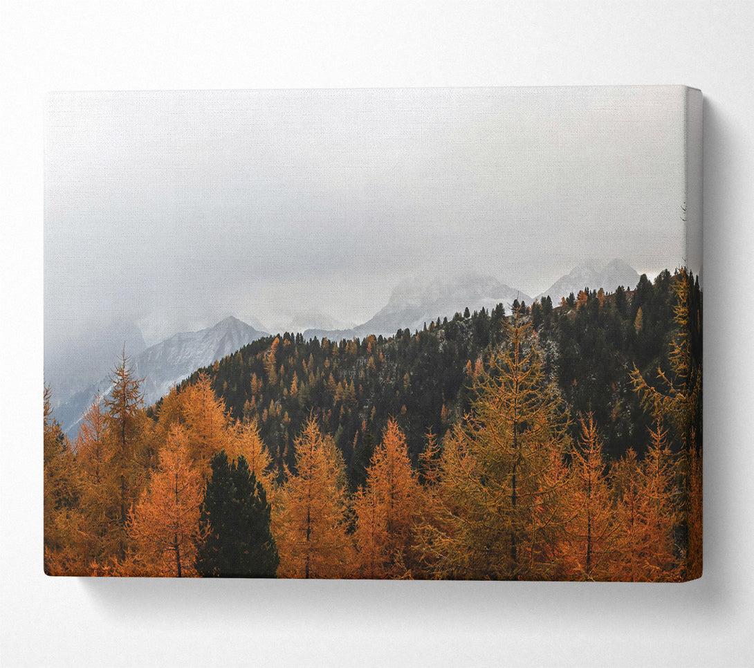  A Canvas Print of Golden Mountain Mist Canvas Print