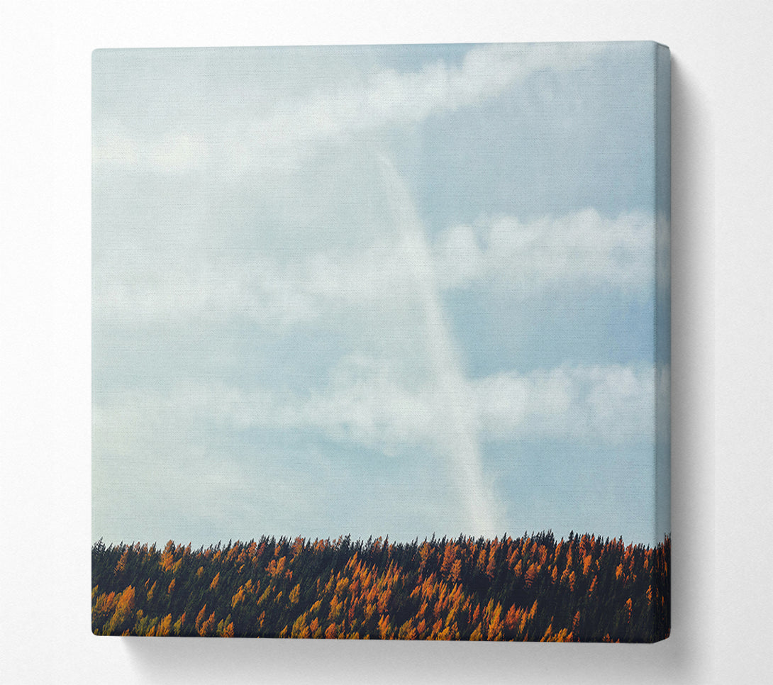  A Canvas Print of White Clouds & Orange Trees Canvas Print