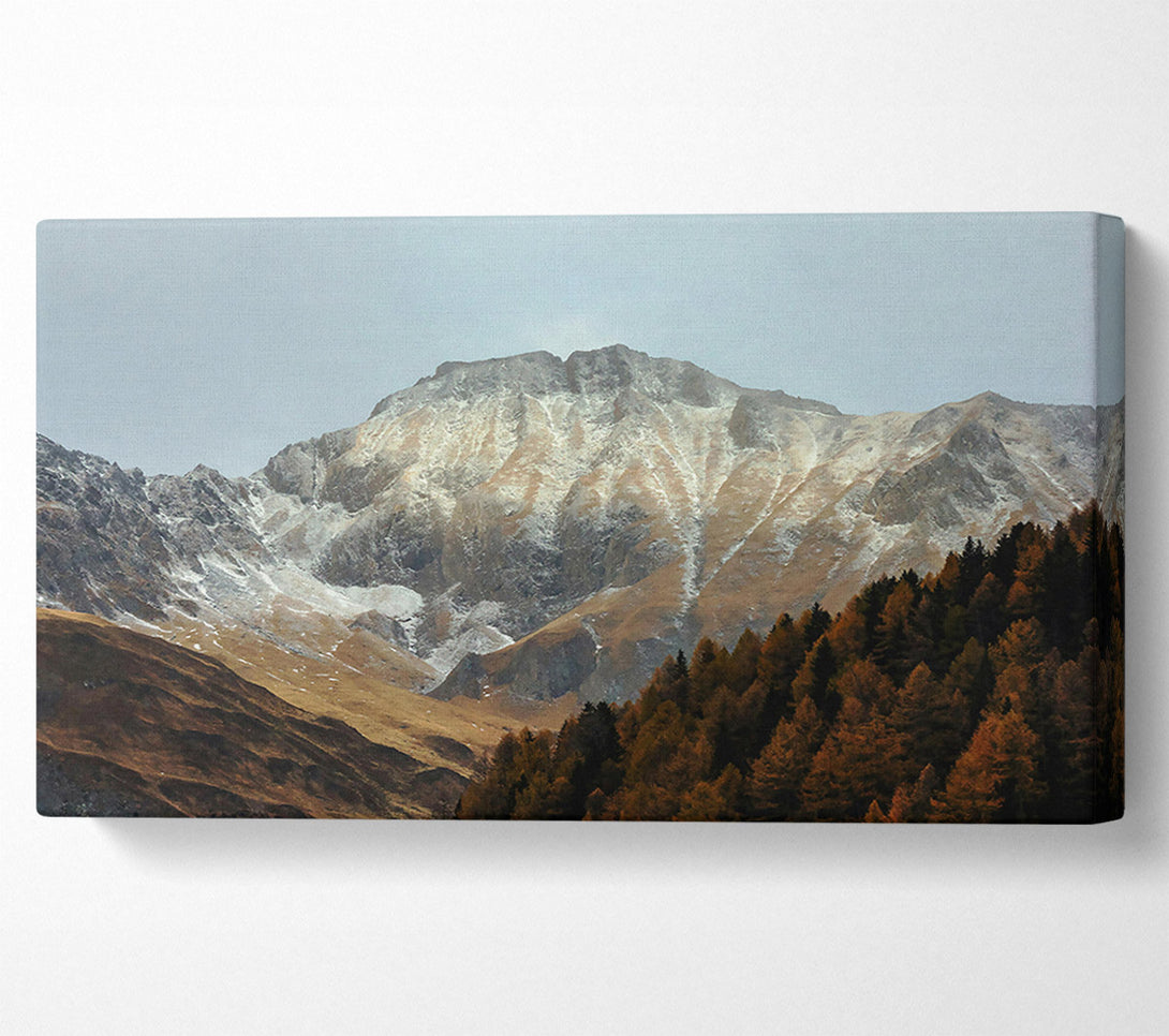  A Canvas Print of Golden Mountainside Snow Canvas Art